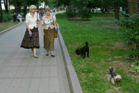 В Минприроды рассказали, что учет животных будет добровольным