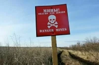 Четыре человека подорвались на мине в Белгородской области