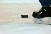 Спортивным лигам хотят дать больше возможностей для развития