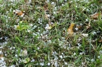 Метеоролог Варакин рассказал о непогоде в ряде регионов России 14 и 15 июня