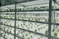 Россия хочет продавать в Китай лекарственные растения