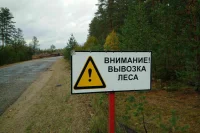 За нарушение правил перевозки древесины будут штрафовать