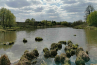 Кировскую область включат в федеральную программу оздоровления водных объектов