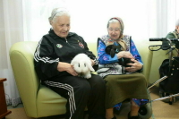 Благотворителей хотят освободить от налога на имущество в жилых домах