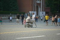 Во ВЦИОМ назвали главные ценности российской молодежи