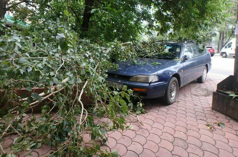 Два человека погибли в Москве из-за урагана