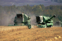 Минсельхоз ожидает, что пошлины на экспорт зерна будут скорректированы 1 июля