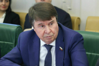 Сенатор Цеков заявил, что ЕС вернет России деньги с активов