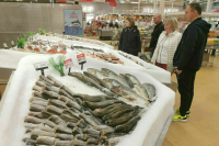 Сенаторы пояснили, зачем снижать ставки на добычу спизулы, корбикулы и шпрот