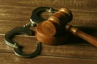 Досудебная палата МУС выдала ордеры на арест Шойгу и Герасимова