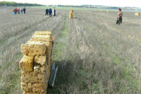 В Комитете Госдумы поддержали проект о сроке освоения дачных участков к I чтению