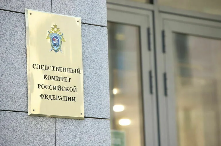 СК потребовал заочно арестовать экс-ведущую «России 1» Курбангалееву