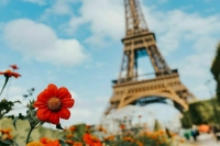 Сербский эксперт констатировал доминирование правых сил во Франции