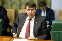 Сенатор Цеков усомнился в том, что Зеленский прислушается к словам Орбана