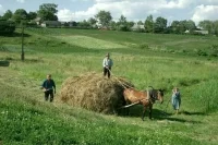 Сельскими старостами разрешат становиться без прописки на селе
