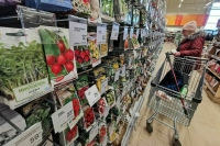 В России подорожали саженцы и семена