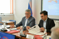 Вице-спикер Совфеда Воробьев встретился с зампредом парламента Армении