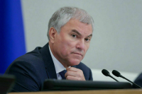 Володин запустил опрос о конфискации имущества за нелегальный завоз мигрантов