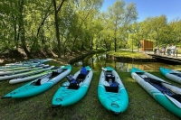Использование сапбордов отрегулируют законом