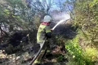 На базах отдыха под Новороссийском пожар повредил 68 построек