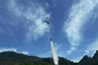 Под Геленджиком локализовали лесной пожар на площади два гектара