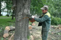 Управляющим компаниям хотят запретить шуметь ночью и утром