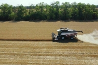 Цена на топливо и китайская сельхозтехника: в Совфеде назвали основные проблемы аграриев этим летом