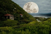 Маск призвал создать лунную базу с постоянным поселением