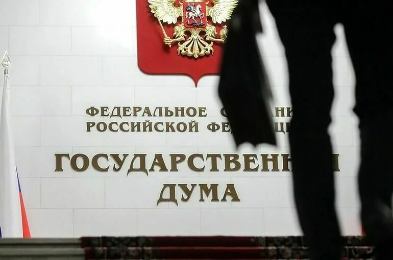 Совет Госдумы будет определять порядок выезда депутатов из России