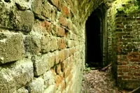 Сенатор Гибатдинов анонсировал законопроект о регулировании квестов