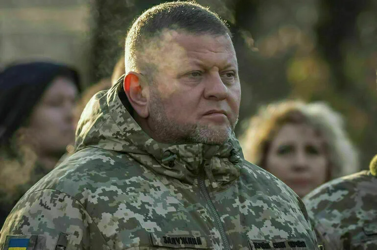 Экс-полковник ВСУ: Залужный лично санкционировал угон российского Су-34