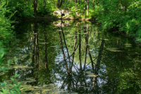 ФСО могут передать ряд полномочий Росприроднадзора по охране особых территорий