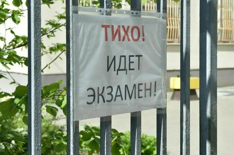 ЕГЭ по обществознанию предложили отменить для будущих учителей математики и физики