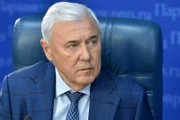 Депутат Аксаков: В 2026 году уже может быть массовое внедрение цифрового рубля