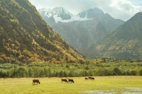 Россиян будут поощрять за бережное отношение к природе