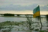 За полчаса до…