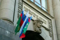 Комитет Совфеда поддержал закон о праве приставов применять оружие