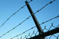 Эстония усилит с 8 августа меры контроля на границе с Россией