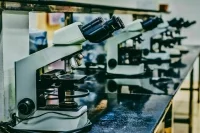 В рамках СНГ и БРИКС может появиться единое научное пространство