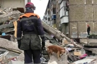 Спасатели нашли тело погибшей при обрушении дома в Нижнем Тагиле