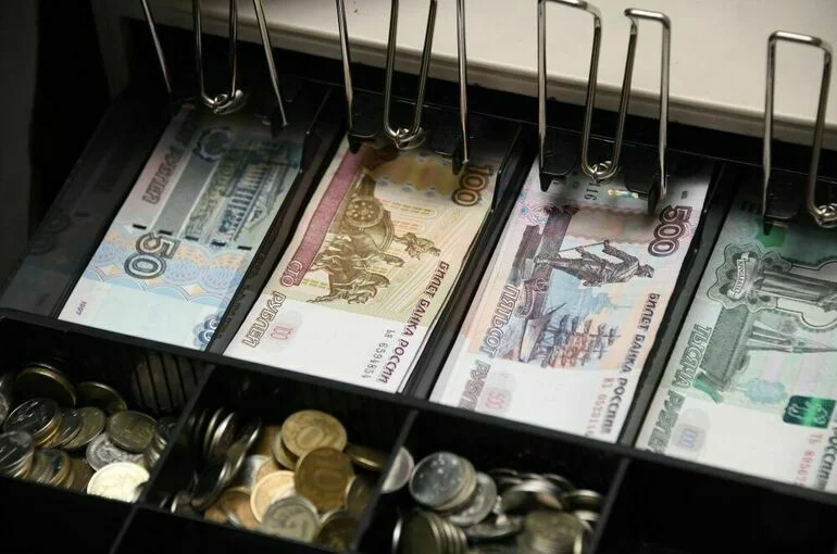 Работающие в сфере образования ИП смогут обойтись без кассовой техники
