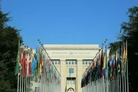 ООН: Около 85 процентов школ сектора Газа пострадали во время конфликта