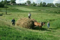 Предоставлять россиянам земельные участки поможет цифровая платформа