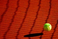 Джокович впервые в карьере стал олимпийским чемпионом по теннису