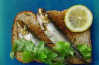 Сенаторы обсуждают варианты замещения прибалтийских шпрот