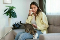 Откуда берется аллергия на кошек