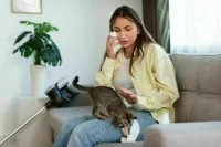 Откуда берется аллергия на кошек