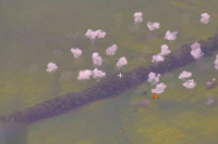 Расчет «Искандера» уничтожил военную технику ВСУ рядом с Курской областью