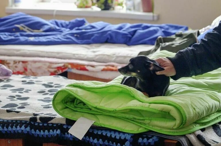 В Курской области развернули 21 пункт временного размещения