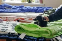 В Курской области развернули 21 пункт временного размещения